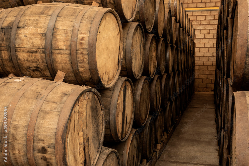 Wine barrels on old cellar