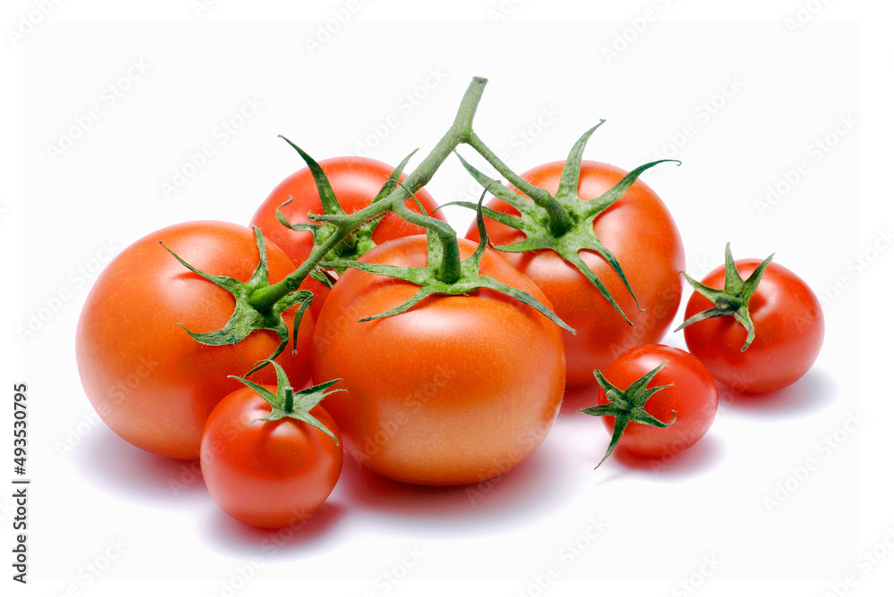 Bunch of fresh tomatoes on red background.