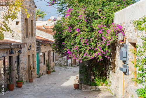 Colorful street with flowers in Old Datca, Mugla province, Turkey