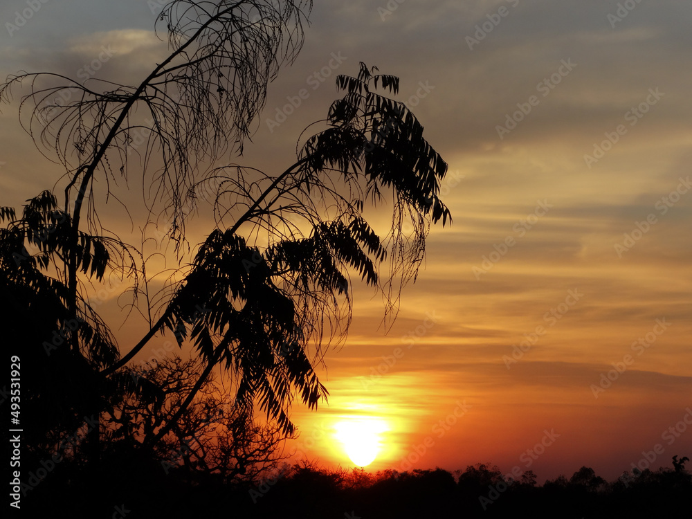 Pôr do sol com um entardecer dourado e o sol entre árvores e nuvens, fotografado na regiã de Esmeraldas.