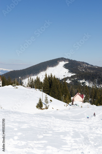 landscape. Snow-capped mountain peak, view of the pine forest. The concept of tourism in the mountains. Horizontal orientation.
