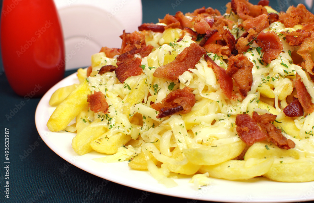 French fries with bacon and cheese close French fries with bacon and cheese close