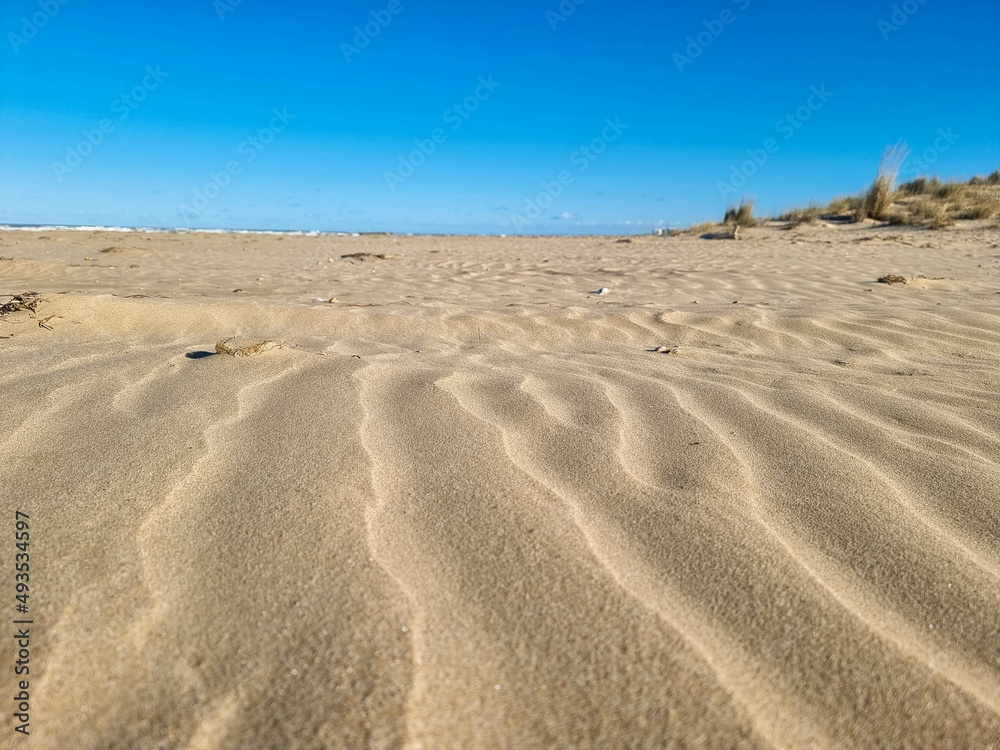 sand dunes in the desert sand dunes in the desert