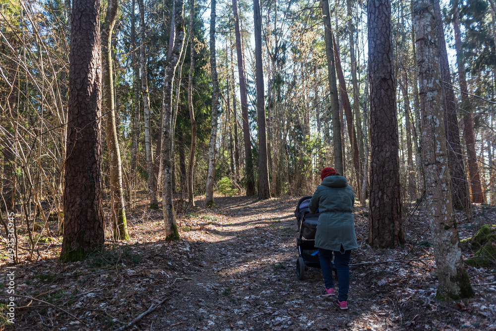 Fototapeta premium Woman with a pram walking along the walking path in forest. Sunny spring day.