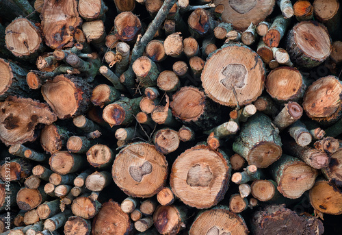 Stacks of freshly cut wood. Closeup of logs of trees in nature Background of cutted logs  Dry firewood in a pile for furnace kindling  Felled tree trunks