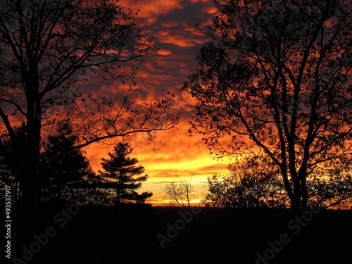 Fototapeta Naklejka Na Ścianę i Meble -  A fall sunset