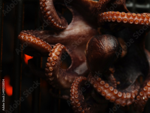 Macro shot. Octopus on the grill. Ocean clam. Useful product, exotic dish. Sea food. Restaurant, hotel, banquet. Restaurant cuisine recipes. Cookbook. Advertising, banner.