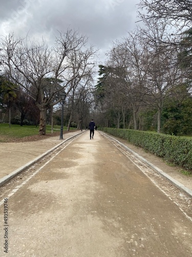 Wallpaper Mural park, gehen, road, ehepaar, frau, leute, gehen, bike, baum, bahn, sport, bicycle, kind, strasse, aufgaben, natur, herbst, familie, ausserhalb, fitnes, sommer, liebe, lebensstil, aktiv, baum, madrid, m Torontodigital.ca