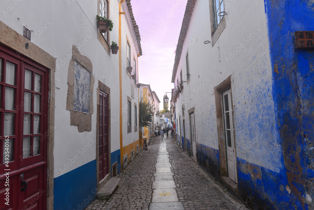 Fototapeta premium Malerische Gasse in der Altstadt von Óbidos, Portugal