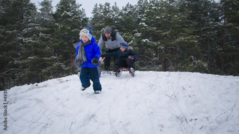 active leisure, happy woman together with man and male children have fun sledding in winter forest during country weekend active leisure, happy woman together with man and male children have fun sledding in winter forest during country weekend