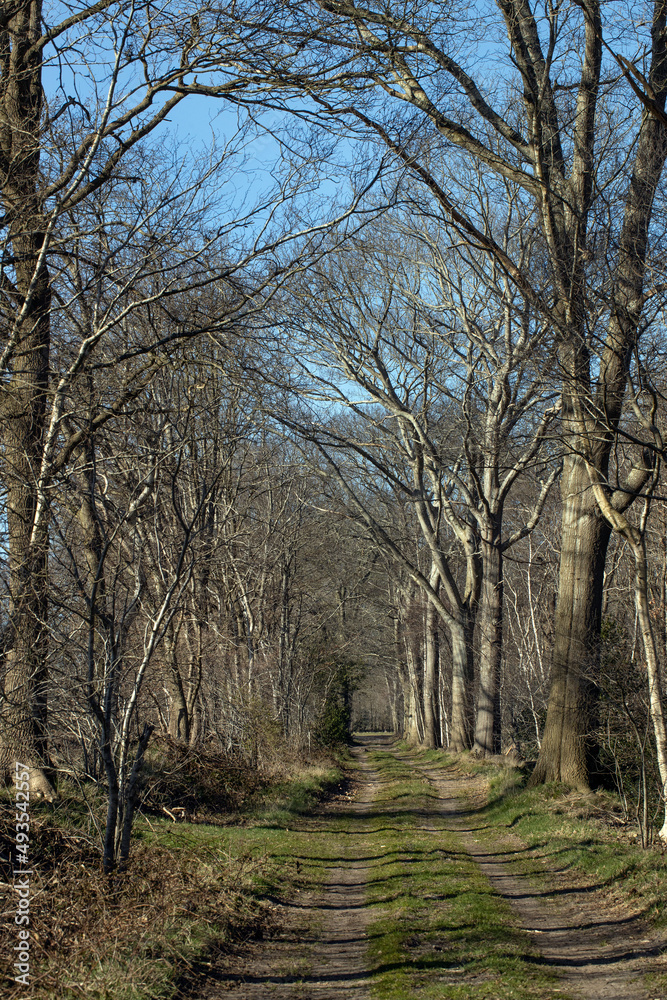 Country dirt road. . Rheebruggen Uffelte Drenthe Netherlands. Country dirt road. . Rheebruggen Uffelte Drenthe Netherlands.