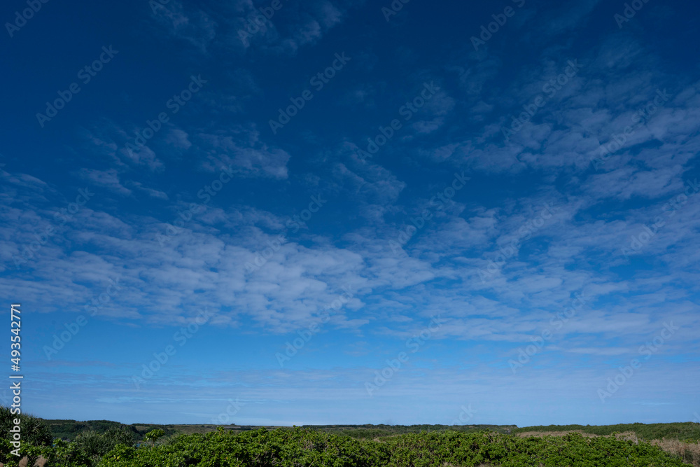 石垣島 石垣島