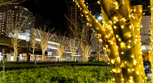 柏の葉キャンパス駅前のライトアップ夜景（ロータリーと駅）