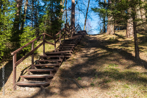 Forest with wooden stairs, large trees and a walking trail on a sunny spring day, Ivande, Latvia.