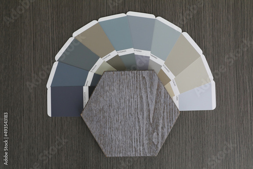 natural veneer painted according to the ral palette wall panels ecological carpentry material for doors and furniture and interior design