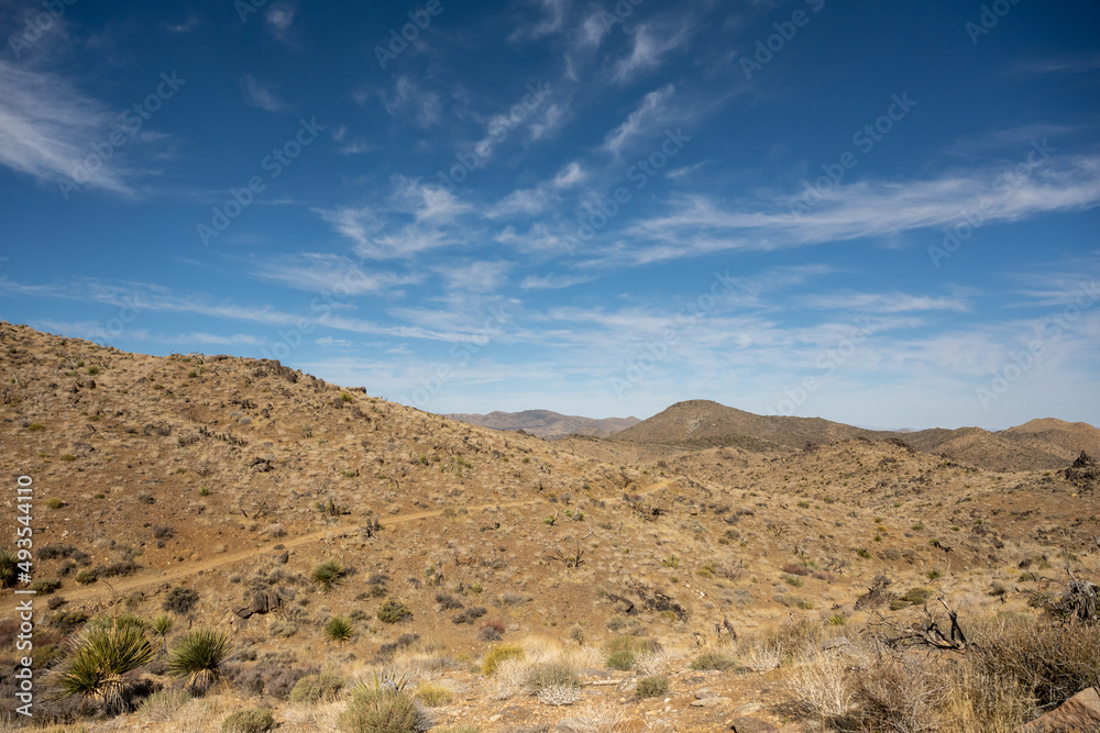 Trail Cuts Across Brown Hillsides in Joshua Tree