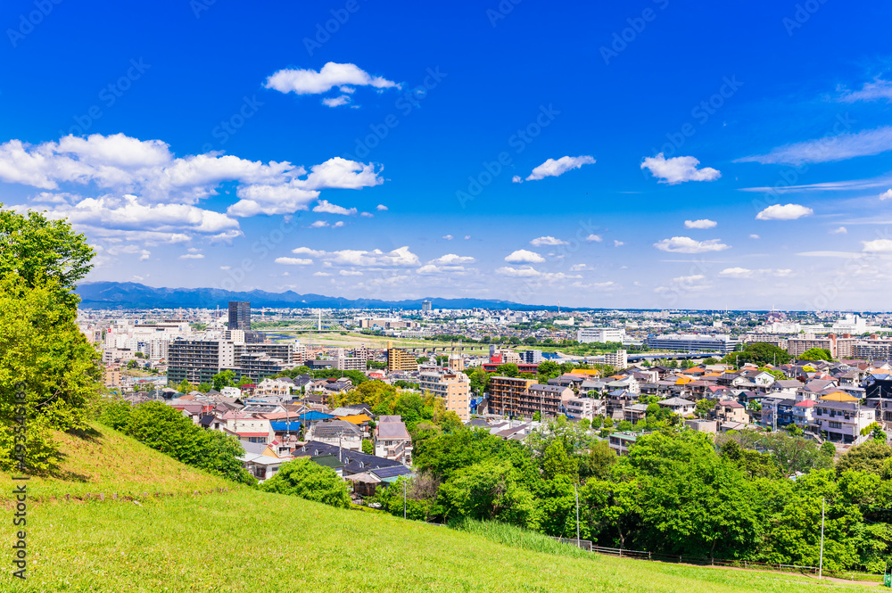 青空が広がる郊外の住宅地