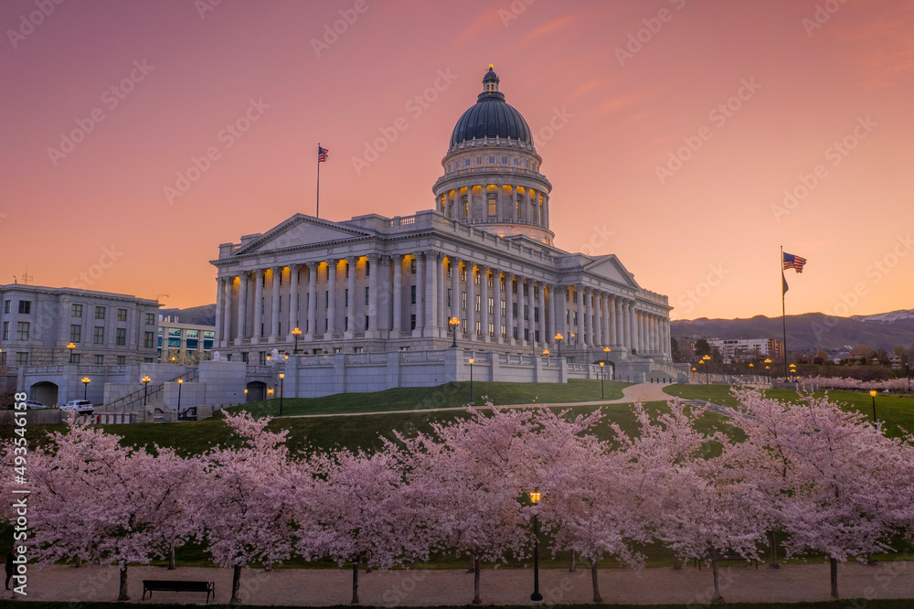 Fototapeta premium Utah Capitol Cherry Blossoms