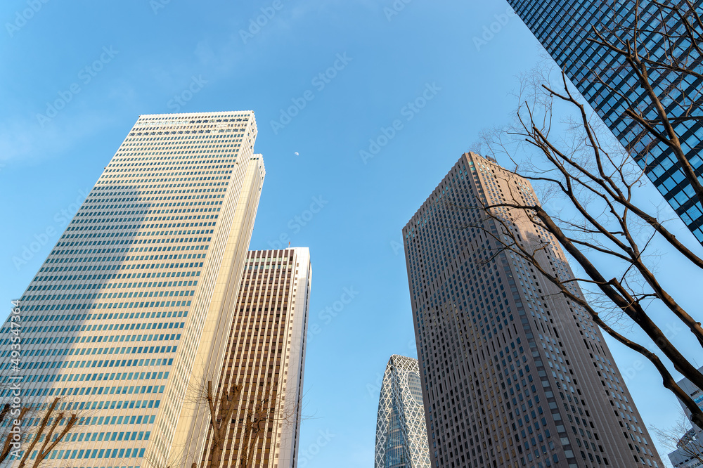 Obraz premium 東京都新宿区西新宿の都市景観