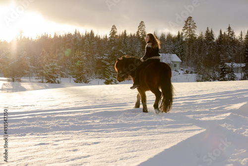Icelandic horse and rider posing during sunset. Backlight from the sun.