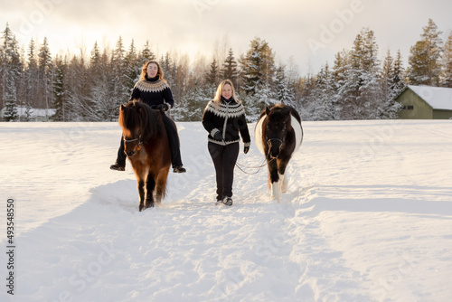 Two Icelandic horses and riders walking on the snowy road in countryside. During sunset.