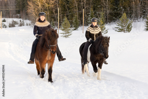 Two Icelandic horses with female riders during sunset. Brown and black and white horse. Riders wearing helmet.