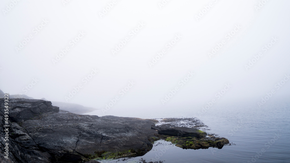 fog over the rocky coastline