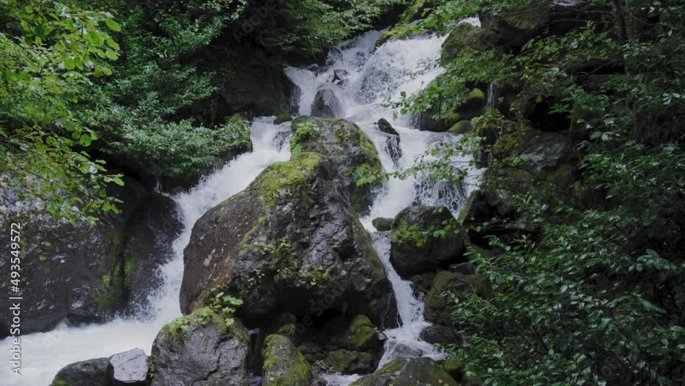 Mountain river flowing through forest. Slow motion. Mountain river flowing through forest. Slow motion.