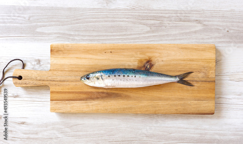 A fish on a cutting board. sardine. まな板の上の魚。イワシ