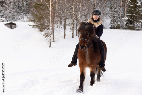 Icelandic horse ride in deep snow. Female rider with Icelandic sweater and helmet.