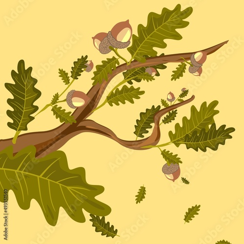 Oak branches with green leaves and acorns clipart set