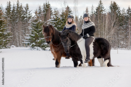 Two Icelandic horses with female riders during sunset. Brown and black and white horse. Riders wearing helmet.