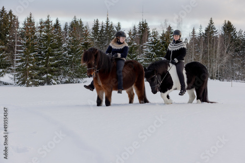 Two Icelandic horses with female riders during sunset. Brown and black and white horse. Riders wearing helmet.