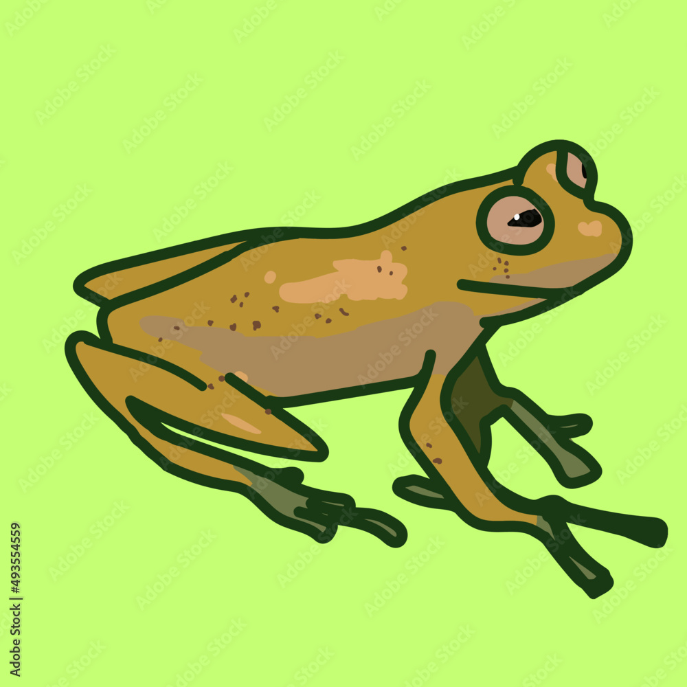 Fototapeta premium cute but funny looking yellow frog 