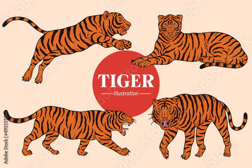Set Tiger face wild poses isolated cartoon illustration