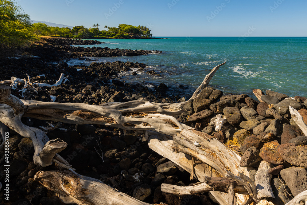 Driftwood Scattered on Small Beach Along The Ala Kahakai Trail National Historic Trail, Hawaii Island, Hawaii, USA