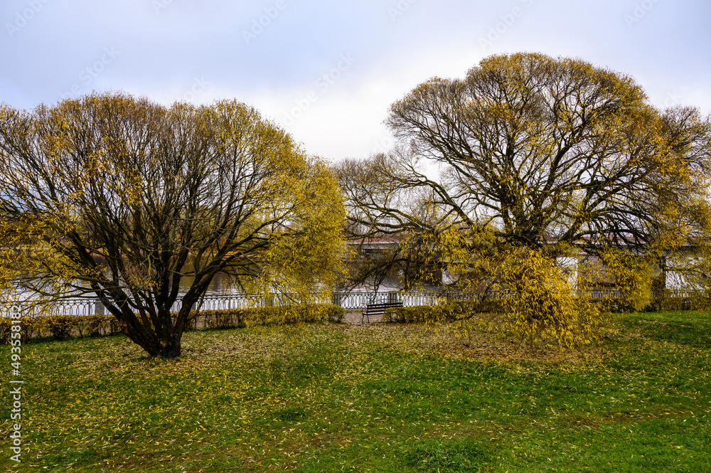 Fototapeta premium Bench in the autumn park. beautiful autumn park