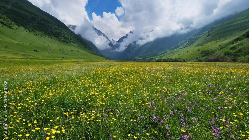 Landscape with wildflower meadow and Caucasus mountains, 4k Landscape with wildflower meadow and Caucasus mountains, 4k