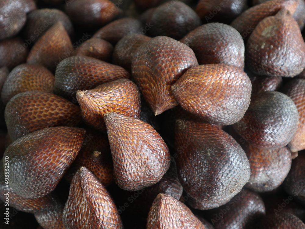 salacca zalacca or salak fruit from indonesia salacca zalacca or salak fruit from indonesia
