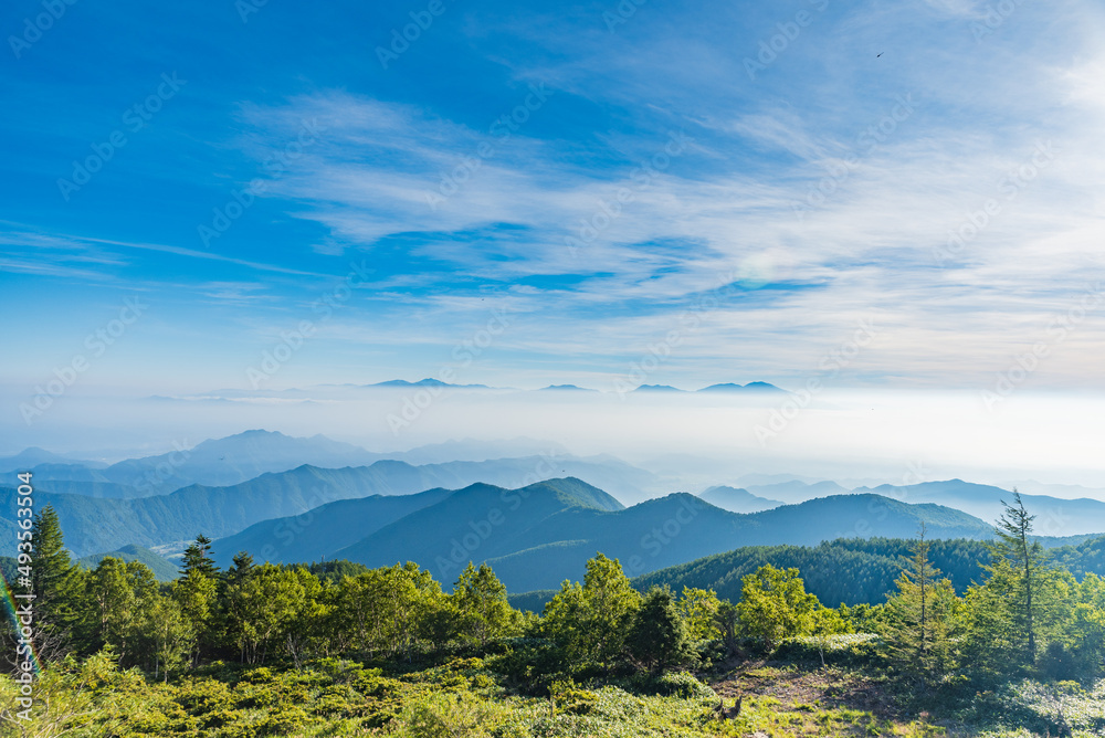 爽やかな高原の朝　長野県美ヶ原高原