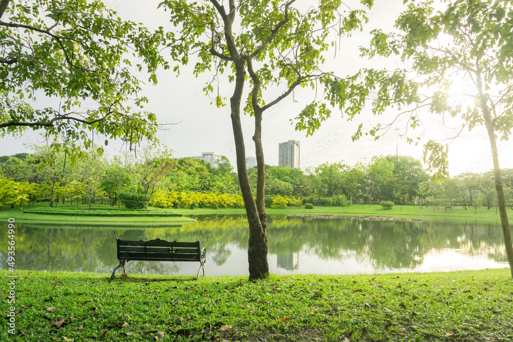 Obraz premium A park with lake and fresh green plants, Vachirabenjatas Park at Bangkok, Thailand.