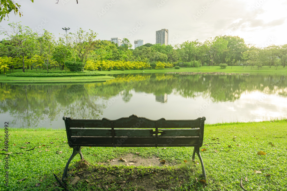 Obraz premium Wooden chairs at the city center park in the morning.