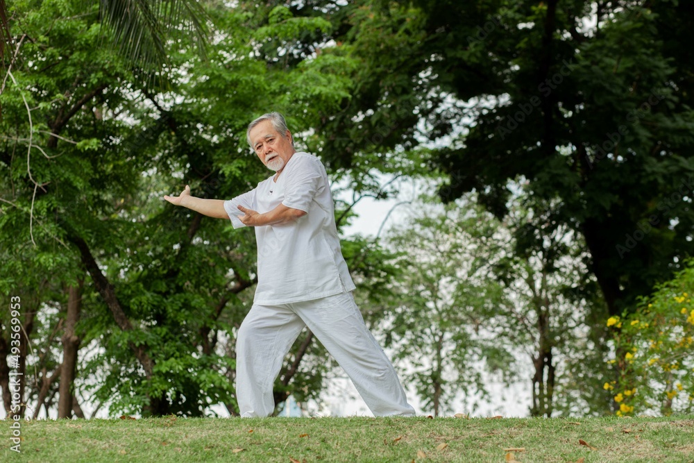 Asian elderly man doing yoga exercises In the field, outdoors, in the park. health care concept exercise Asian elderly man doing yoga exercises In the field, outdoors, in the park. health care concept exercise