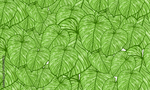 green leaves pattern background hand drawn illustration pattern background for design