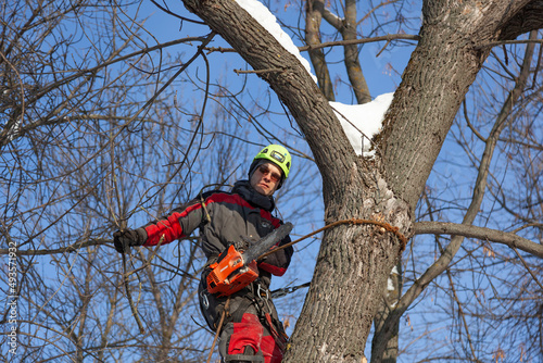 Tree surgeon. Working with a chainsaw. Sawing wood with a chainsaw.