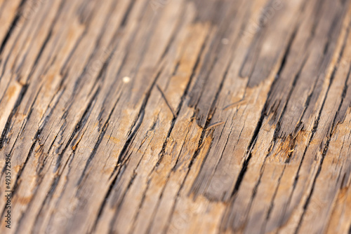 dry old weathered wood grain