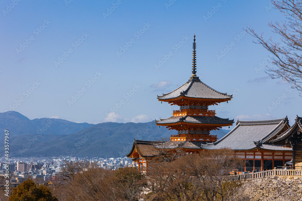 清水寺「京都観光」 清水寺「京都観光」