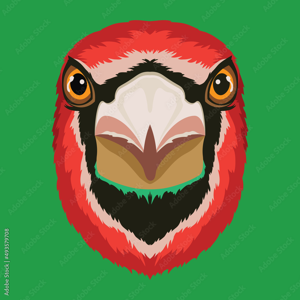 Fototapeta premium Cute and colorful birds face vector illustration in decorative style, perfect for t shirt design and mascot logo