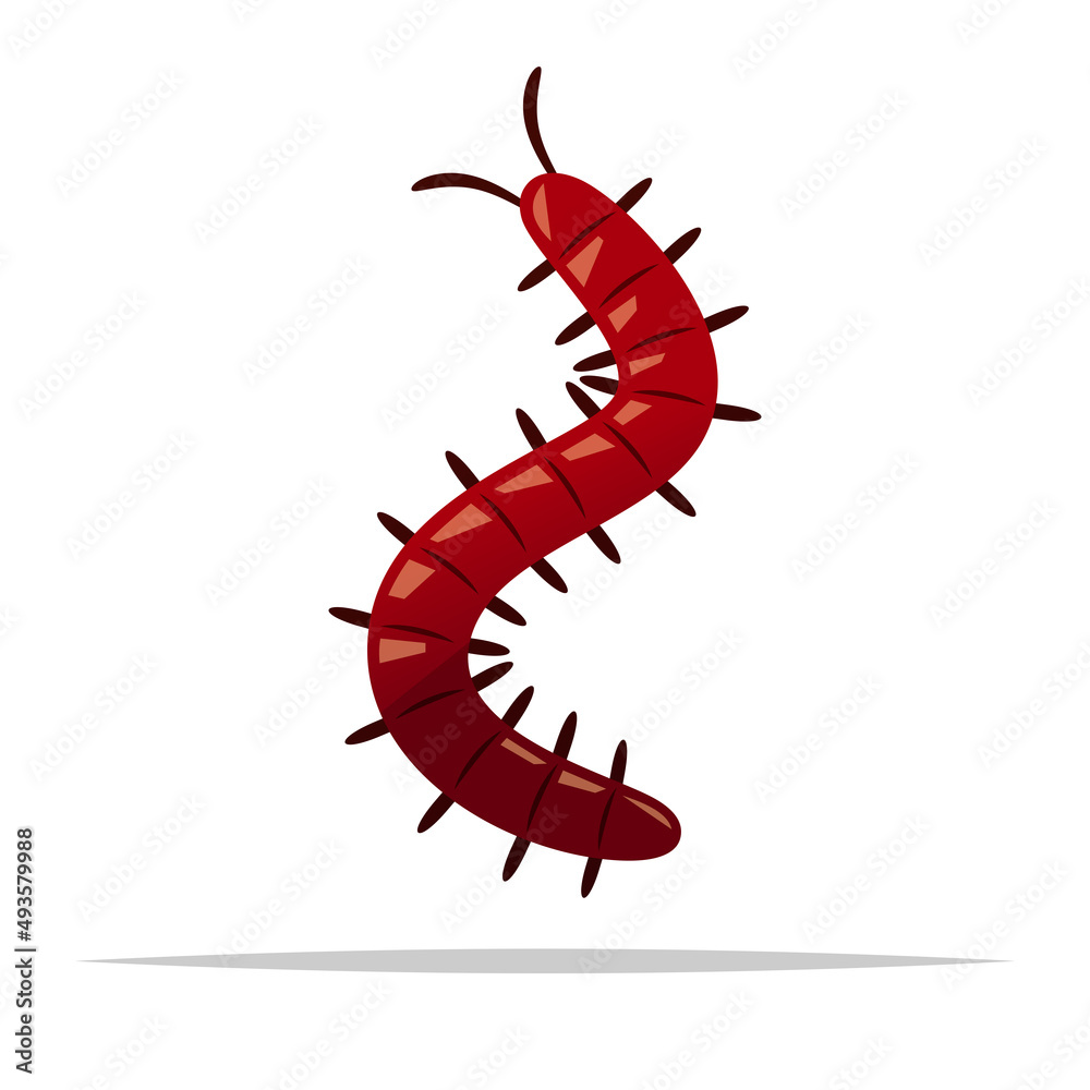 Cartoon centipede vector isolated illustration Cartoon centipede vector isolated illustration