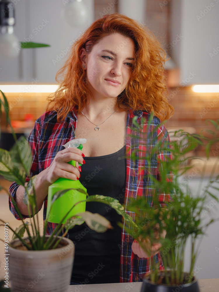 Young smiling female gardener in plaid shirt taking care of plants. Home gardening, houseplant love, freelancing. Home gardening and slow life rituals. Indoor gardening. Young smiling female gardener in plaid shirt taking care of plants. Home gardening, houseplant love, freelancing. Home gardening and slow life rituals. Indoor gardening.
